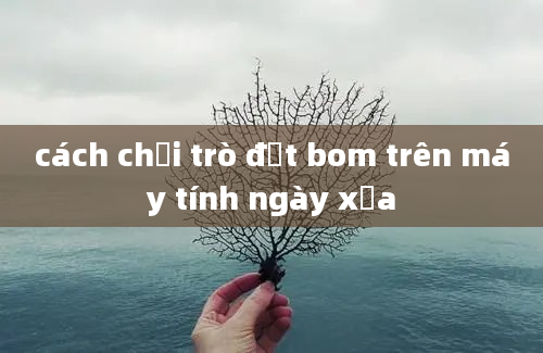 cách chơi trò đặt bom trên máy tính ngày xưa