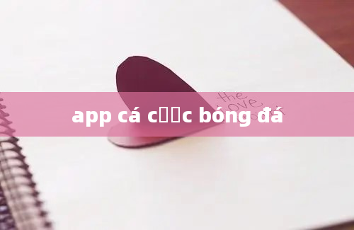 app cá cược bóng đá