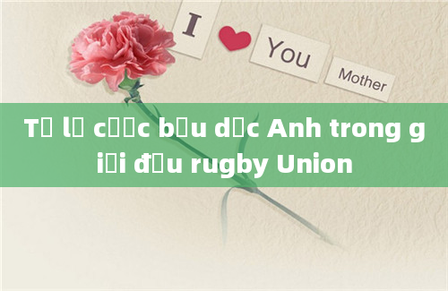 Tỷ lệ cược bầu dục Anh trong giải đấu rugby Union