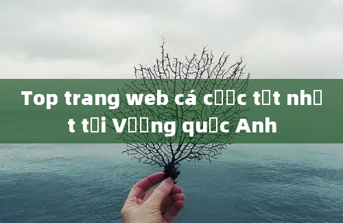 Top trang web cá cược tốt nhất tại Vương quốc Anh