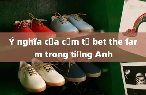 Ý nghĩa của cụm từ bet the farm trong tiếng Anh