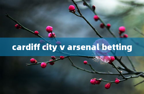 cardiff city v arsenal betting