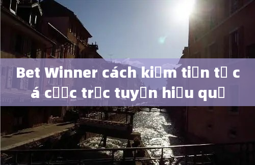 Bet Winner cách kiếm tiền từ cá cược trực tuyến hiệu quả