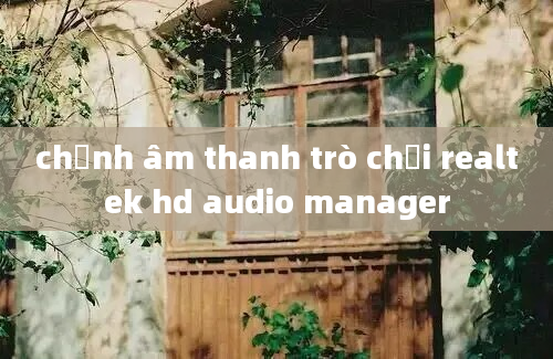 chỉnh âm thanh trò chơi realtek hd audio manager