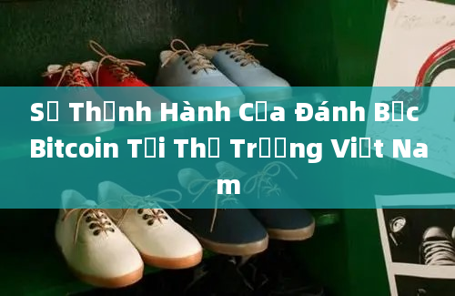 Sự Thịnh Hành Của Đánh Bạc Bitcoin Tại Thị Trường Việt Nam