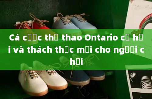 Cá cược thể thao Ontario cơ hội và thách thức mới cho người chơi