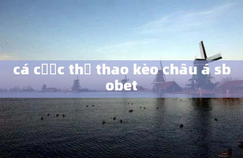 cá cược thể thao kèo châu á sbobet