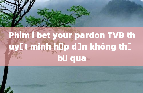 Phim i bet your pardon TVB thuyết minh hấp dẫn không thể bỏ qua