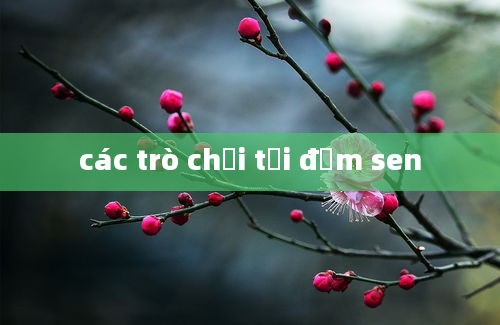 các trò chơi tại đầm sen