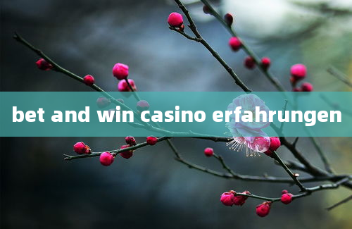 bet and win casino erfahrungen