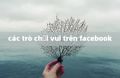 các trò chơi vui trên facebook