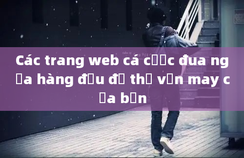 Các trang web cá cược đua ngựa hàng đầu để thử vận may của bạn