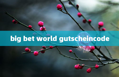 big bet world gutscheincode