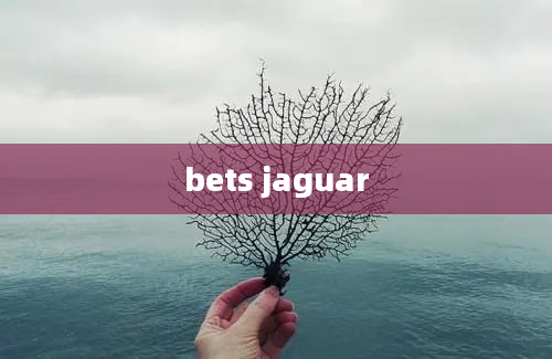 bets jaguar