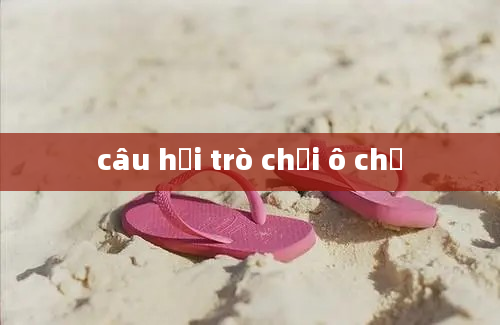 câu hỏi trò chơi ô chữ