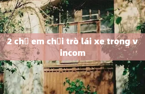 2 chị em chơi trò lái xe trong vincom