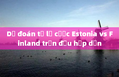 Dự đoán tỷ lệ cược Estonia vs Finland trận đấu hấp dẫn