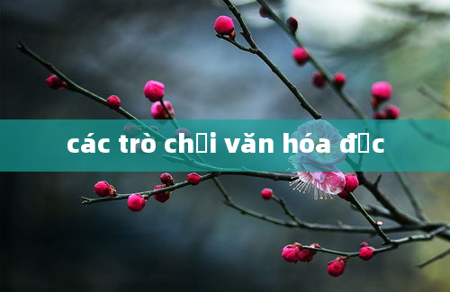 các trò chơi văn hóa đọc