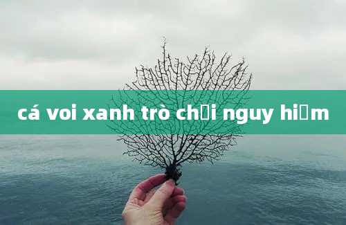 cá voi xanh trò chơi nguy hiểm