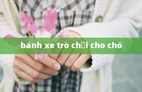 bánh xe trò chơi cho chó