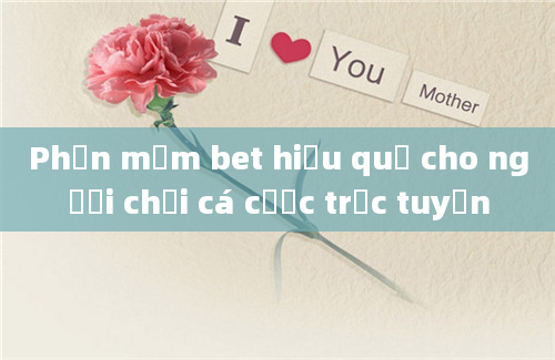 Phần mềm bet hiệu quả cho người chơi cá cược trực tuyến