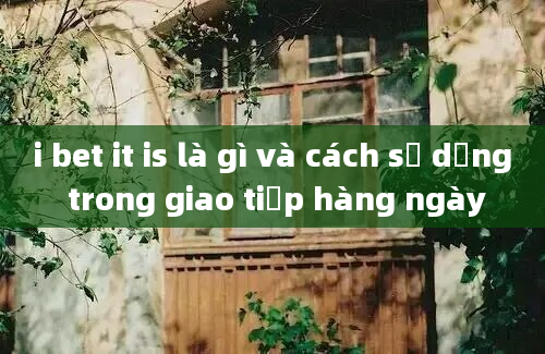 i bet it is là gì và cách sử dụng trong giao tiếp hàng ngày