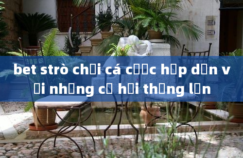 bet strò chơi cá cược hấp dẫn với những cơ hội thắng lớn