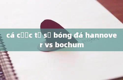 cá cược tỷ số bóng đá hannover vs bochum