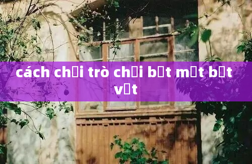 cách chơi trò chơi bịt mắt bắt vịt