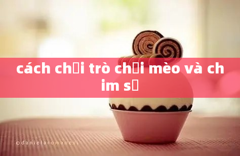 cách chơi trò chơi mèo và chim sẽ