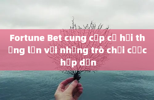 Fortune Bet cung cấp cơ hội thắng lớn với những trò chơi cược hấp dẫn