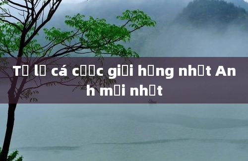 Tỷ lệ cá cược giải hạng nhất Anh mới nhất