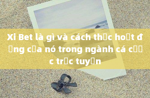 Xi Bet là gì và cách thức hoạt động của nó trong ngành cá cược trực tuyến