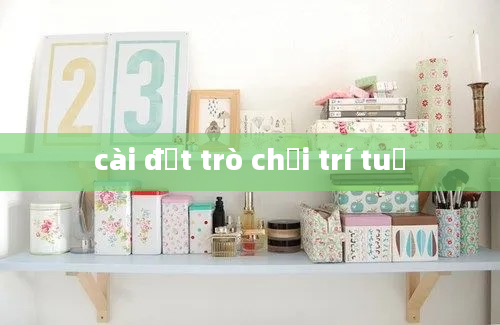 cài đặt trò chơi trí tuệ