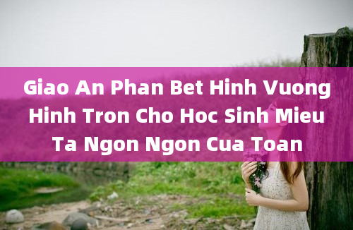 Giao An Phan Bet Hinh Vuong Hinh Tron Cho Hoc Sinh Mieu Ta Ngon Ngon Cua Toan