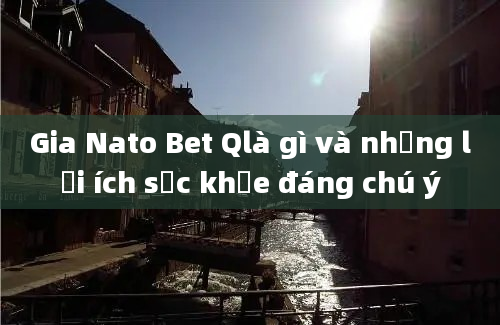 Gia Nato Bet Qlà gì và những lợi ích sức khỏe đáng chú ý