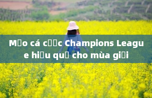 Mẹo cá cược Champions League hiệu quả cho mùa giải