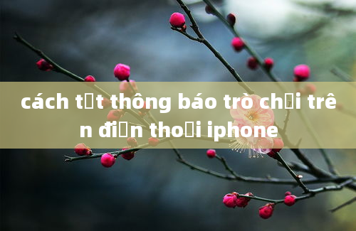 cách tắt thông báo trò chơi trên điện thoại iphone