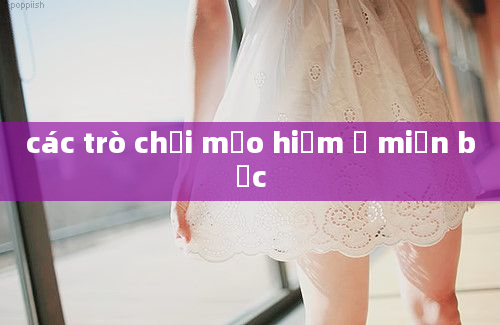 các trò chơi mạo hiểm ở miền bắc