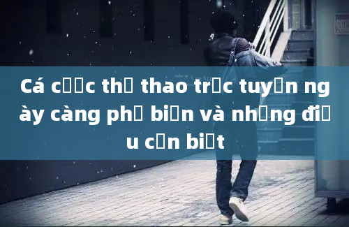 Cá cược thể thao trực tuyến ngày càng phổ biến và những điều cần biết