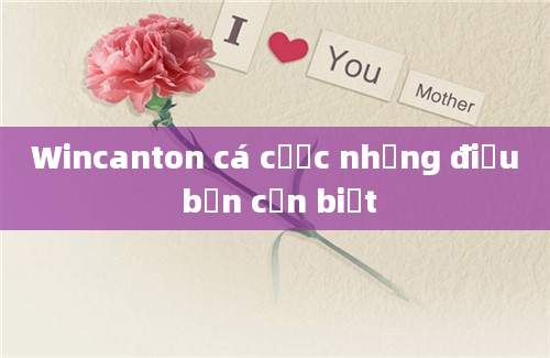 Wincanton cá cược những điều bạn cần biết