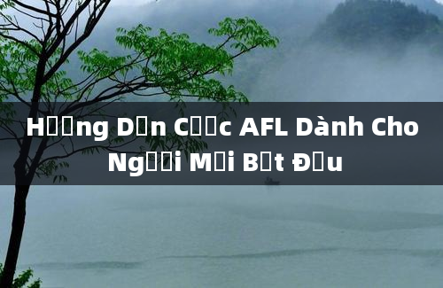 Hướng Dẫn Cược AFL Dành Cho Người Mới Bắt Đầu