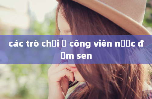 các trò chơi ở công viên nước đầm sen