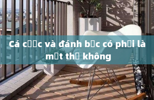 Cá cược và đánh bạc có phải là một thứ không