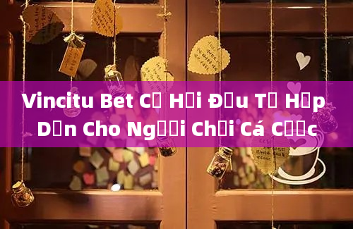 Vincitu Bet Cơ Hội Đầu Tư Hấp Dẫn Cho Người Chơi Cá Cược