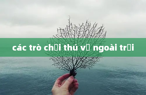 các trò chơi thú vị ngoài trời