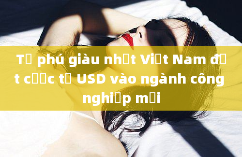 Tỷ phú giàu nhất Việt Nam đặt cược tỷ USD vào ngành công nghiệp mới