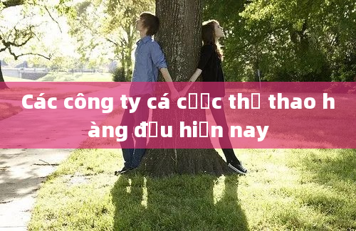 Các công ty cá cược thể thao hàng đầu hiện nay