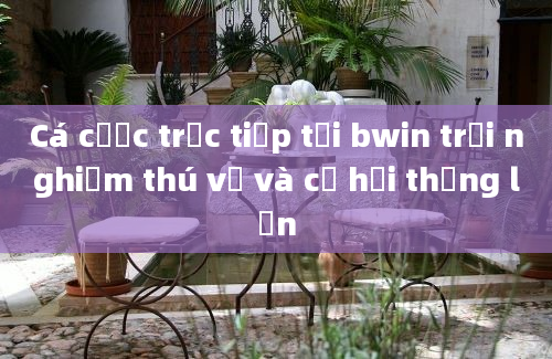 Cá cược trực tiếp tại bwin trải nghiệm thú vị và cơ hội thắng lớn