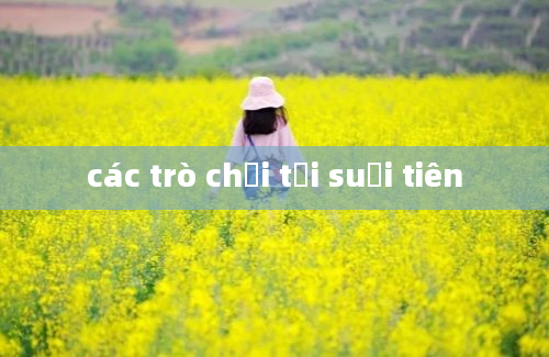 các trò chơi tại suối tiên